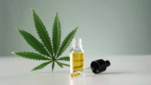 Novas regras da Anvisa liberam cultivo e produção de cannabis medicinal no Brasil