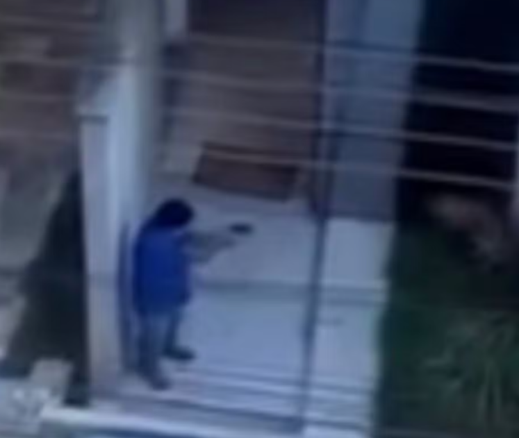 Vizinha diz que teve medo de reagir ao ver cachorro ser assassinado com 14 tiros