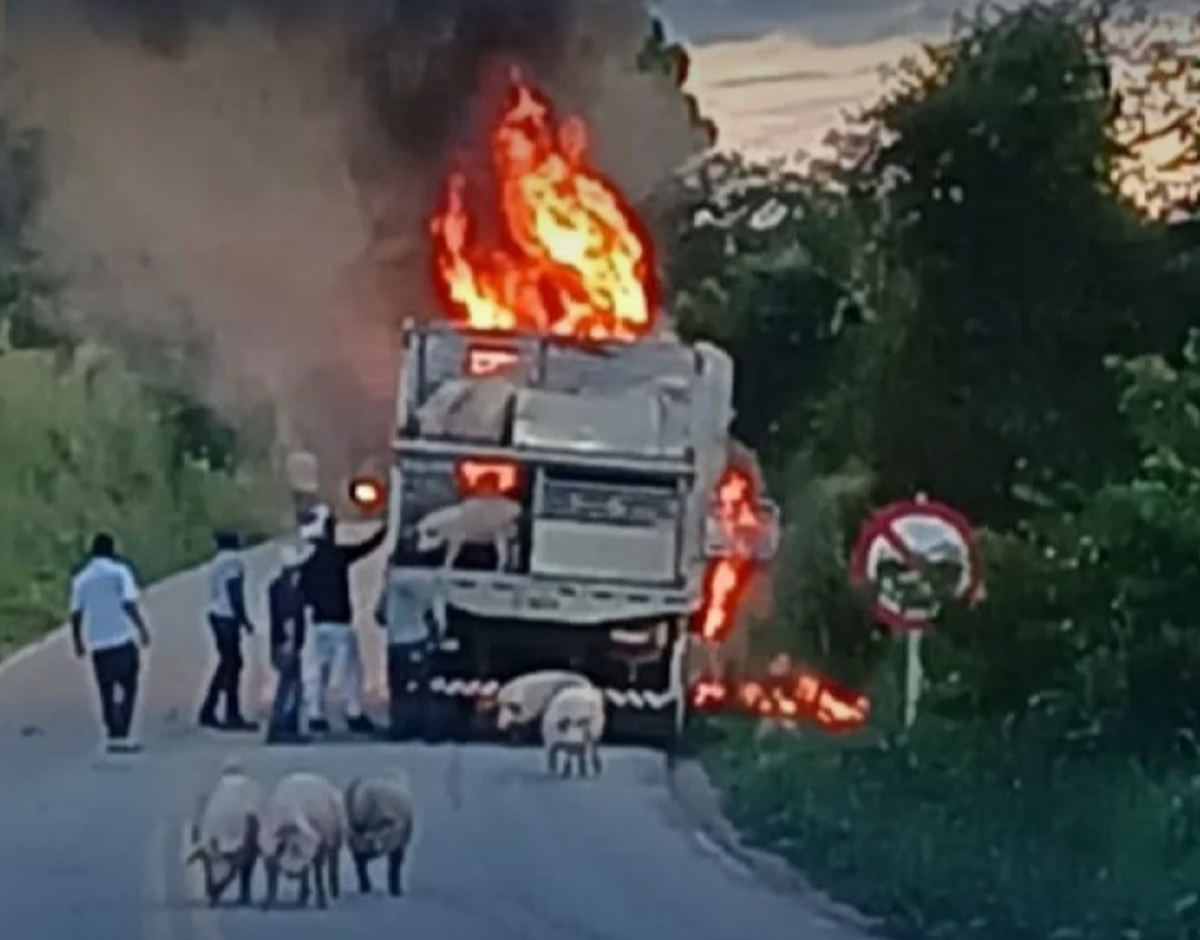 Caminhão carregado com animais pega fogo e fica destruído no trevo de Resende Costa