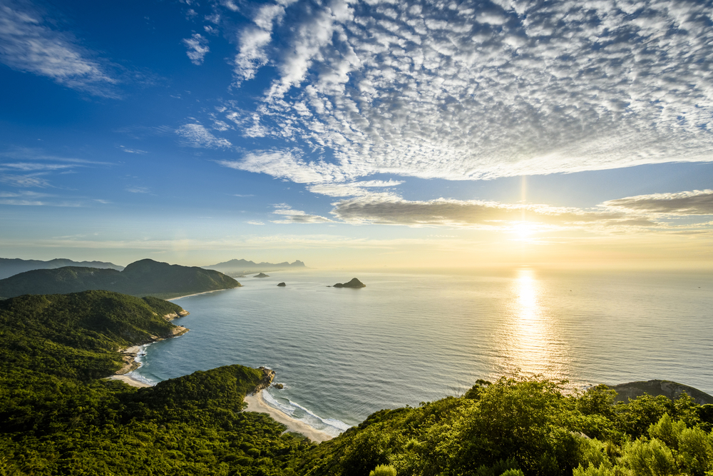 INICIO Com uma área de mais de 12 mil hectares, o Parque Estadual da Pedra Branca (PEPB) detém o título de uma das maiores florestas urbanas do mundo. L...