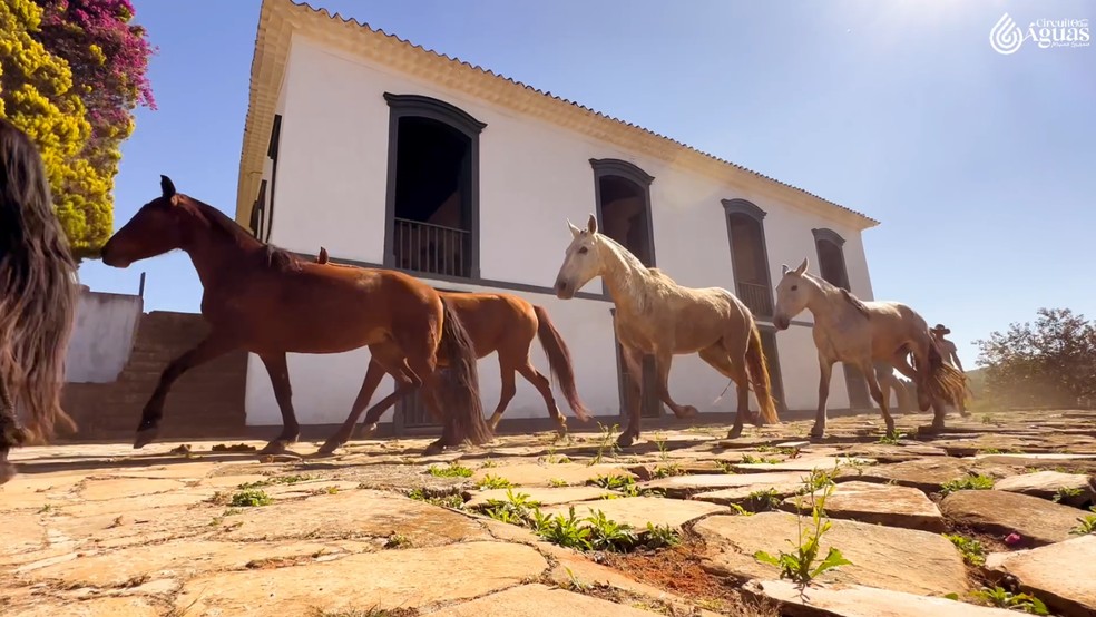 O Portal Minas te convida a desvendar os encantos de Cruzília, uma joia cravada no coração de Minas Gerais que pulsa história, tradição e sabores inconf...