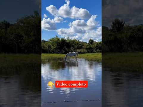 Confira detalhes sobre "Vídeo sobre a Lapinha da Serra-MG 👇". Fonte: YouTube Publicado originalmente em: 14/03/2026