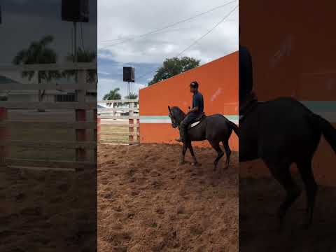 Confira os detalhes sobre "Vaquejada em capitão Eneas ça". Conteúdo original de YouTube. Publicado originalmente em: 06/03/2026