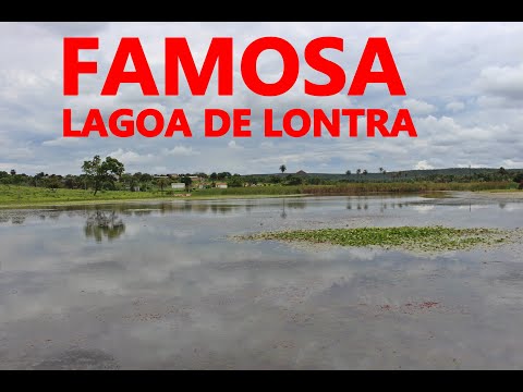 A cidade de Lontra, localizada estrategicamente na região Norte de Minas Gerais, é o lar de um de seus mais charmosos atrativos naturais. Uma lagoa pito...