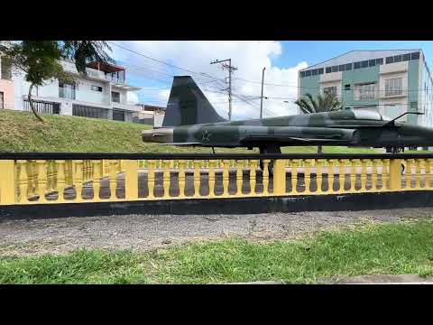 A Praça do Avião, localizada na cidade de Carandaí, em Minas Gerais, figura como um dos espaços públicos mais emblemáticos e facilmente reconhecíveis do...
