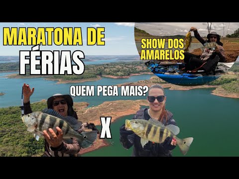 Pedrinópolis, Minas Gerais, e as límpidas águas da represa de Nova Ponte foram o destino escolhido para uma recente e memorável aventura de férias. Em u...