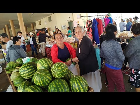 Ninheira, em Minas Gerais, vivenciou um dia de intensa atividade e celebração com a realização de sua tradicional feira anual em 21 de junho de 2025. O ...