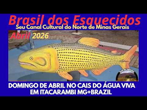 A tranquilidade característica de um domingo de abril de 2026 foi capturada no vibrante cais do Água Viva, um conhecido ponto de referência na cidade de...