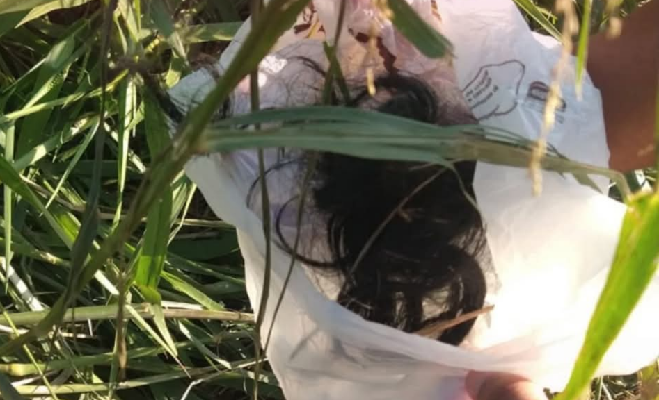 A investigação do desaparecimento da jovem Evellyn, em Lavras, ganhou um novo e promissor capítulo com a recente descoberta de indícios em uma área de m...