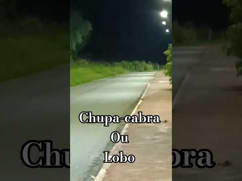 A pacata rotina de Cedro do Abaeté, em Minas Gerais, foi agitada por um registro peculiar que rapidamente se espalhou pelos grupos de WhatsApp na cidade...