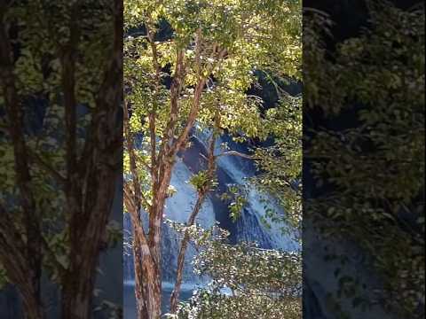 No coração da Serra da Mantiqueira, em Bocaina de Minas, Minas Gerais, a grandiosidade da natureza se revela na deslumbrante Cachoeira do Rio Grande. Es...