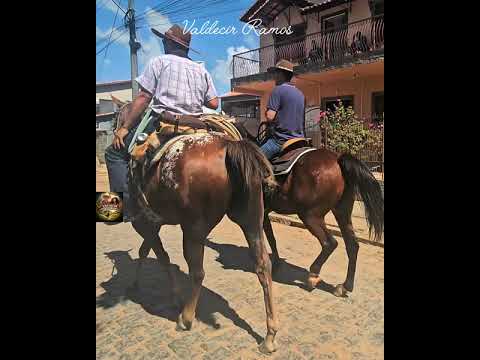 A cidade de Itanhandu, localizada no pitoresco sul de Minas Gerais, vivenciou mais uma edição de sua tradicional cavalgada, um evento que anualmente res...