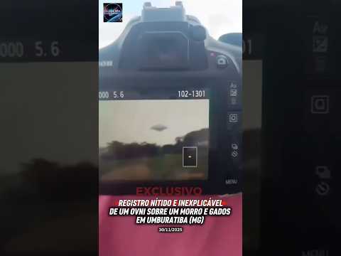 A pacata cidade de Umburatiba, localizada em Minas Gerais, vivenciou momentos de perplexidade na tarde da última semana, mais precisamente em 30 de nove...