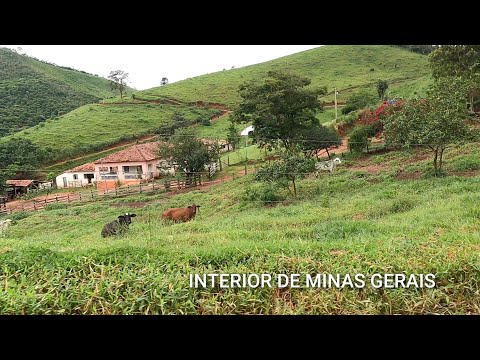 Uma jornada de motocicleta revelou a exuberância da zona rural de Caiçara e Água Limpa, regiões pertencentes aos municípios de Coluna MG e São José do J...