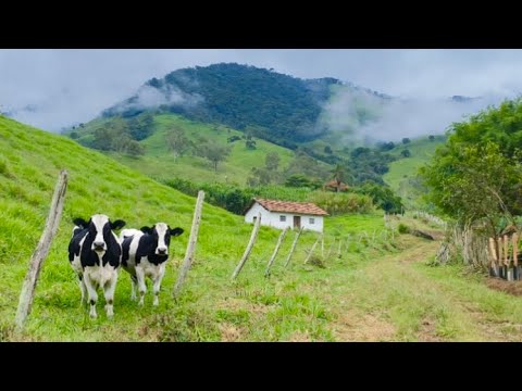 Uma série de paisagens exuberantes, registradas em 03 de abril de 2026, oferece um vislumbre da beleza natural que pontua a estrada entre os municípios ...