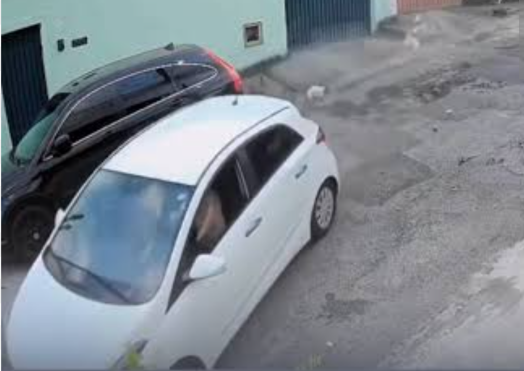 Contagem, cidade integrante da Região Metropolitana de Belo Horizonte, está enfrentando um cenário preocupante de escalada nos furtos de veículos. De ac...