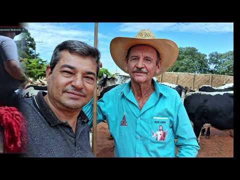 A cidade de Brasilândia de Minas foi palco de uma significativa reunião cultural, sediando a segunda edição da aclamada Queima do Alho. O evento, que se...