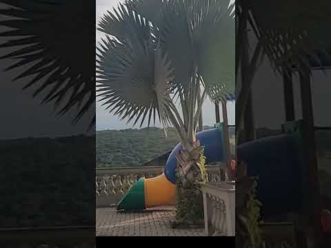 A cidade de Matozinhos, localizada no estado de Minas Gerais, abriga em seu coração comercial o emblemático Mercado de Matozinhos MG. Este ponto de refe...