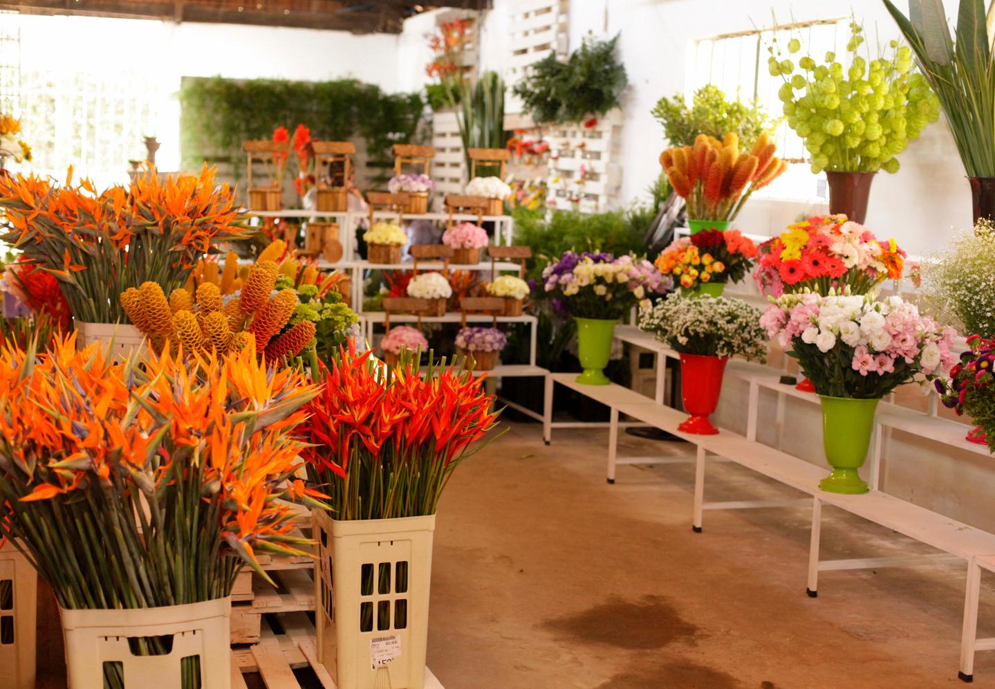 A aguardada Exposição de Plantas e Flores de Dona Euzébia, evento consagrado no calendário da floricultura mineira, acaba de anunciar seu cronograma ofi...