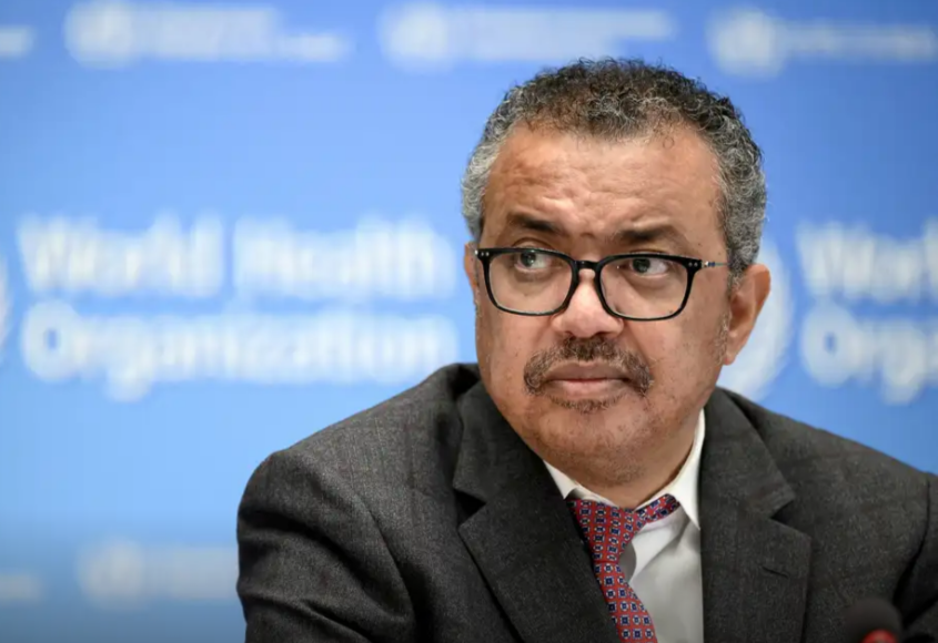 A Organização Mundial da Saúde (OMS) comunicou, nesta terça-feira (12), que não existem evidências indicando um surto generalizado de hantavírus, uma co...