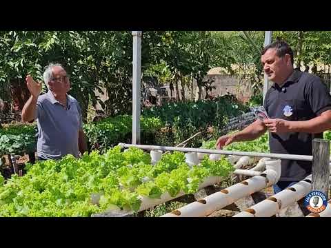 A hidroponia, uma técnica de produção de plantas que muitos percebem como um avanço futurista, tem suas origens profundamente enraizadas no passado, com...