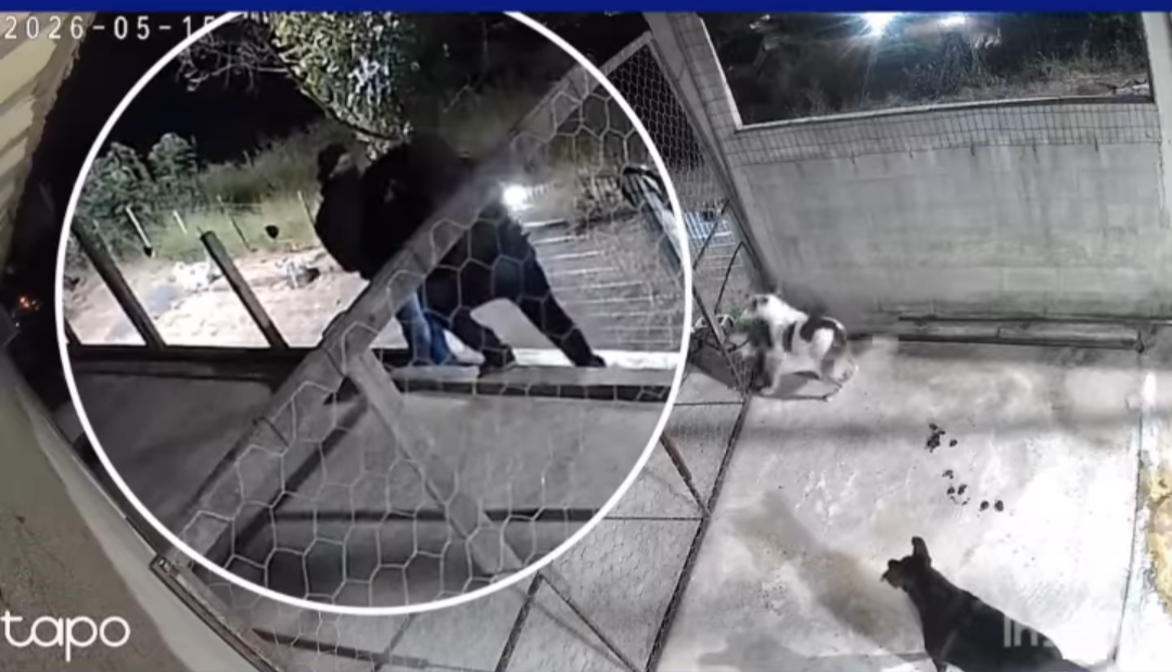 Uma residência no bairro Santo Antônio, em Inhapim, foi alvo de criminosos que furtaram uma extensa coleção de armas de um morador. O incidente ocorreu ...