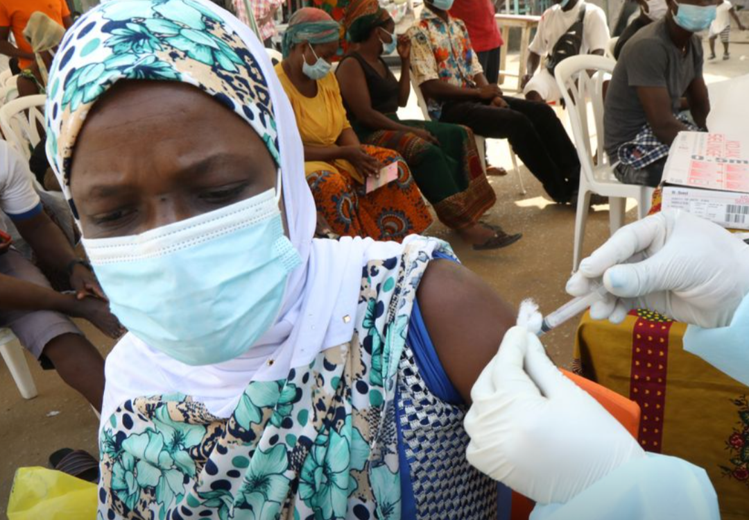 A vacina destinada a combater a cepa de Ebola que atualmente afeta o continente africano pode levar de seis a nove meses para ser disponibilizada à popu...
