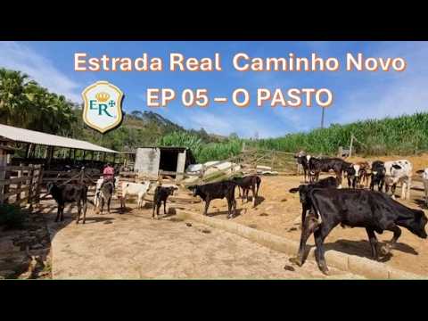 A quinta etapa da série "Estrada Real Caminho Novo", que aborda o percurso de bicicleta entre Santos Dumont e Juiz de Fora, em Minas Gerais, foi detalha...