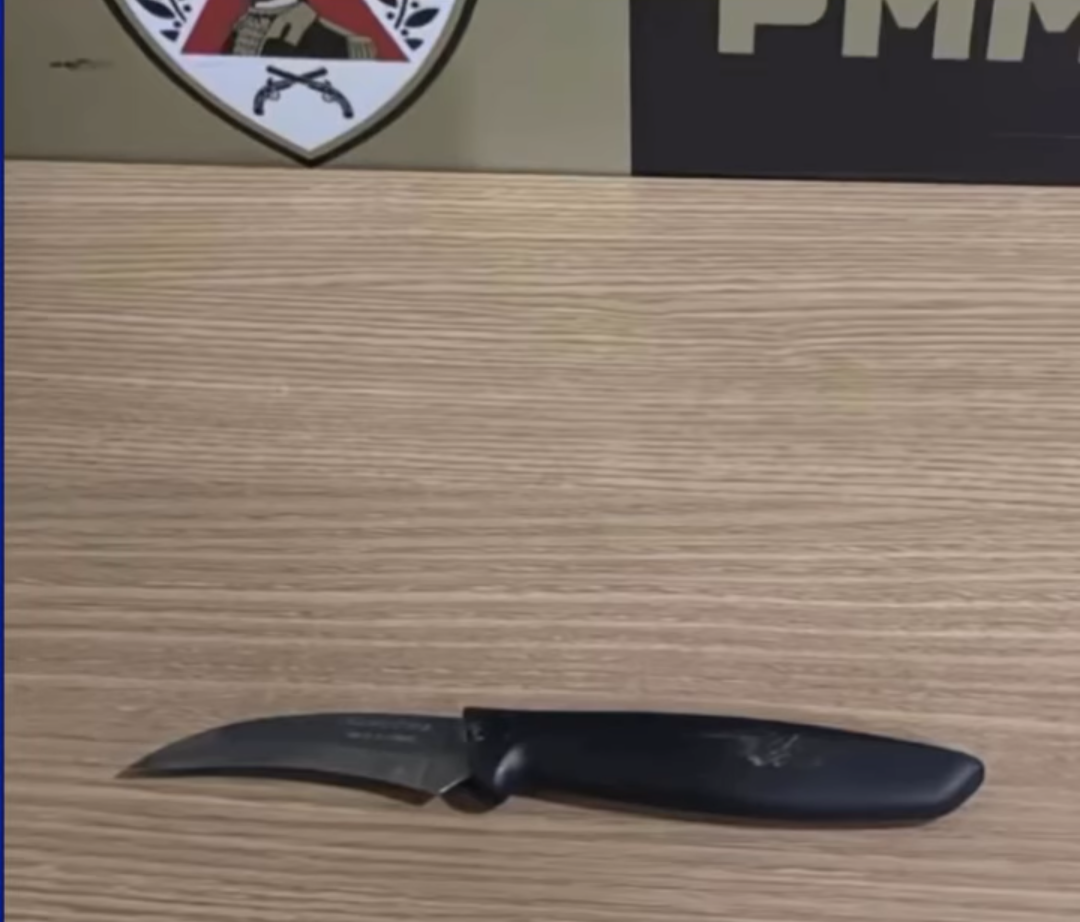 Uma professora foi agredida em uma escola municipal de São Sebastião do Anta por uma mulher que invadiu o local portando uma faca. O incidente violento ...