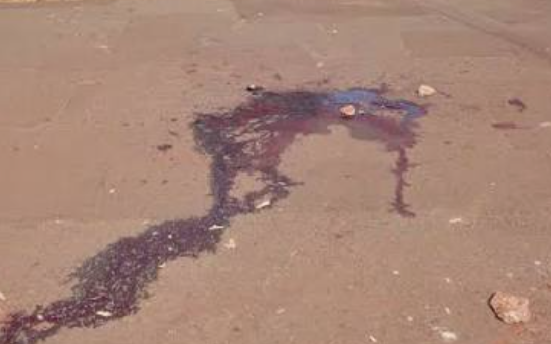 A Polícia Militar de São João del Rei está investigando o falecimento de um homem de 68 anos, que morreu depois de ser brutalmente agredido com um pedaç...