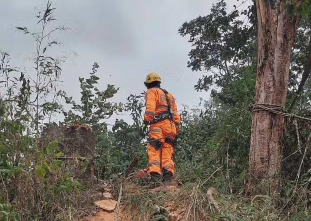 Um trabalhador de 49 anos faleceu no último sábado (23), em Pedro Leopoldo, Região Metropolitana de Belo Horizonte, após ser atingido por uma árvore. O ...