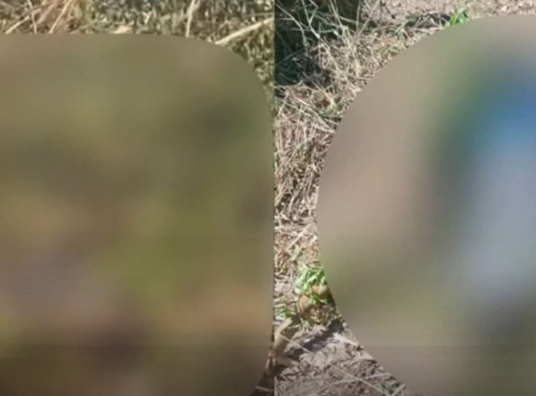 Um corpo foi localizado na tarde deste domingo (24) no município de Ouro Preto. A descoberta marcou o dia na região, chamando a atenção para o ocorrido....