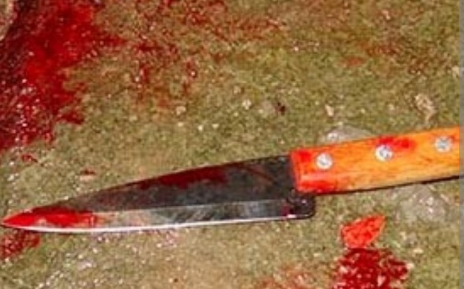 Um jovem de 21 anos foi preso no último sábado (23) sob a suspeita de assassinar a própria mãe, de 44 anos, com golpes de faca dentro do apartamento ond...