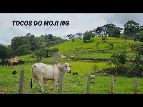 Uma lembrança de 1º de março de 2026 nos transporta à jornada da Família Rota 408, quando o grupo explorava a cidade de Tocos do Moji, localizada no cor...