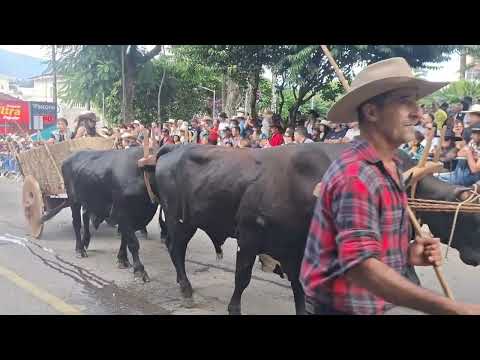 O 35º Encontro de Carreiros de Congonhal, em Minas Gerais, foi realizado no dia 31 de maio de 2026. O evento reafirmou sua importância como um dos maior...