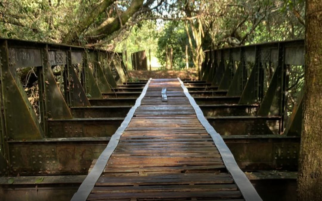 A ponte metálica de valor histórico que havia sumido da zona rural de Prados foi encontrada nesta terça-feira, dia 10, na região de Ibitipoca, município...