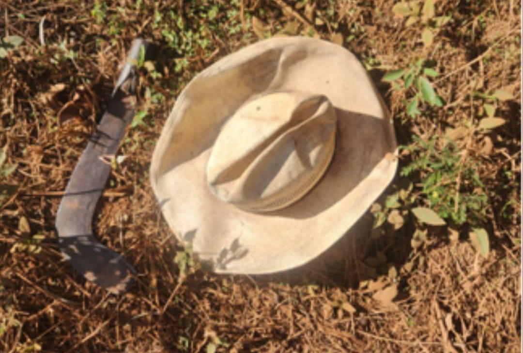 Um ato de extrema violência abalou a tranquilidade de Carmo do Paranaíba na manhã desta segunda-feira (22). Um idoso de 65 anos foi encontrado morto, ví...