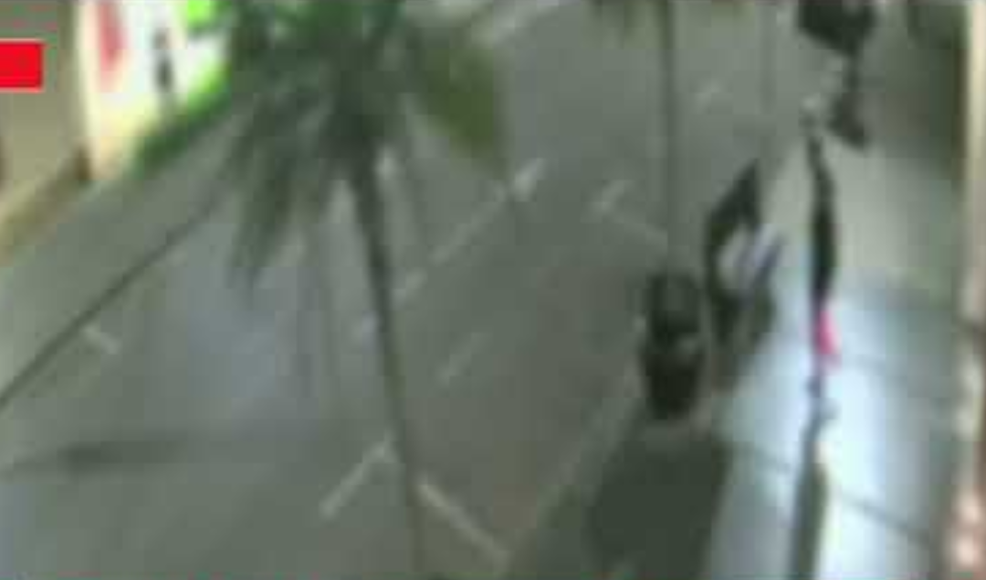 A Guarda Municipal de Alfenas impediu uma tentativa de furto a um estabelecimento comercial localizado na região central da cidade durante a madrugada. ...