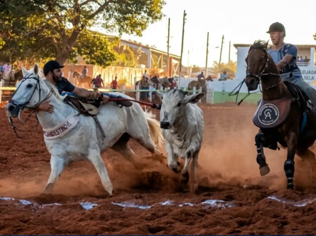 O Ministério Público de Minas Gerais (MPMG) ajuizou uma Ação Civil Pública para suspender a realização da 32ª Vaquejada Nacional de Miravânia. O evento,...