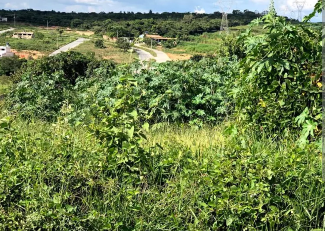 Acelerado pelo crescimento imobiliário e pelo progresso urbano, o município de Carmo do Cajuru enfrenta um dilema recorrente: a conservação de lotes des...