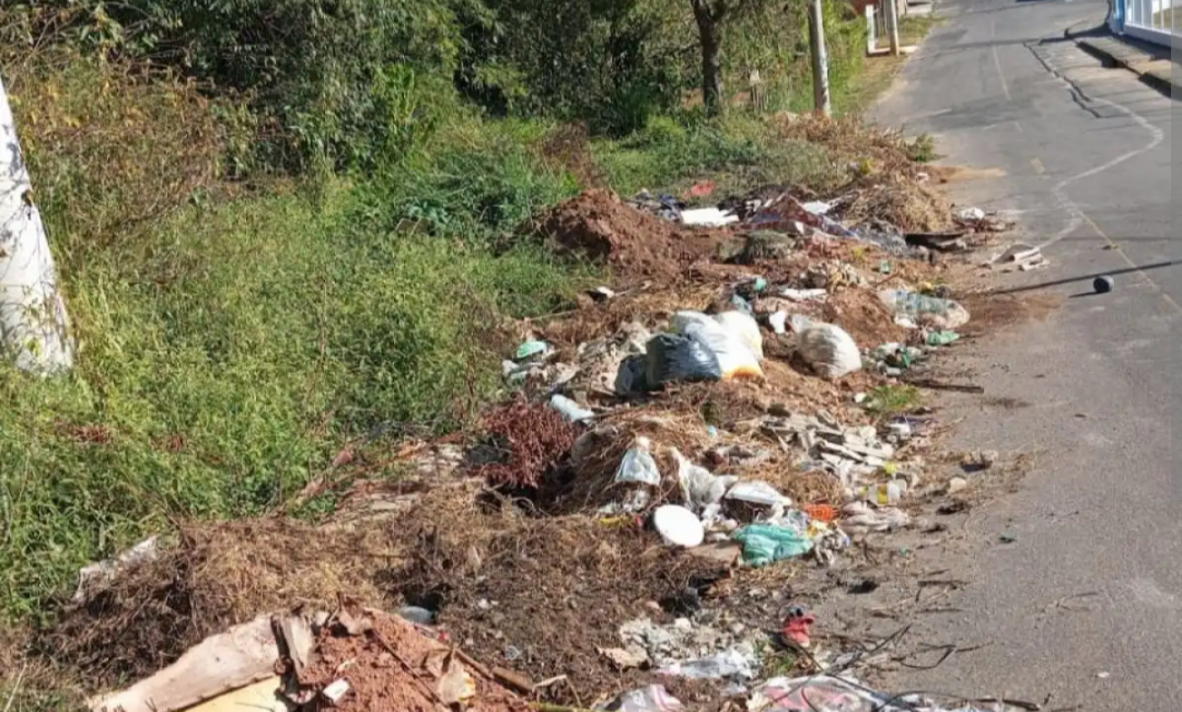 A zeladoria urbana de Juiz de Fora tem se tornado um ponto crítico de preocupação para seus habitantes. Queixas recorrentes alertam para a rápida prolif...