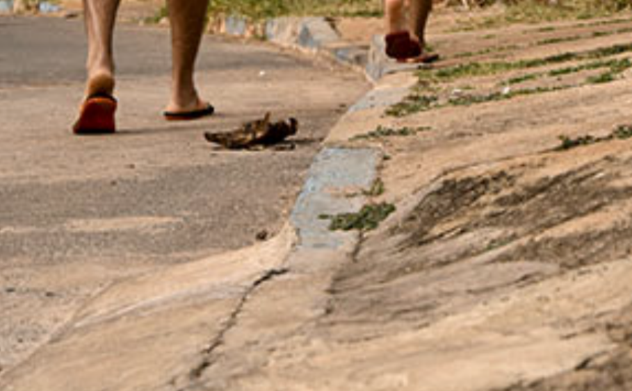 A condição das calçadas e passeios públicos em Capinópolis, Minas Gerais, tornou-se um ponto central para discussões sobre a mobilidade urbana local. Ob...
