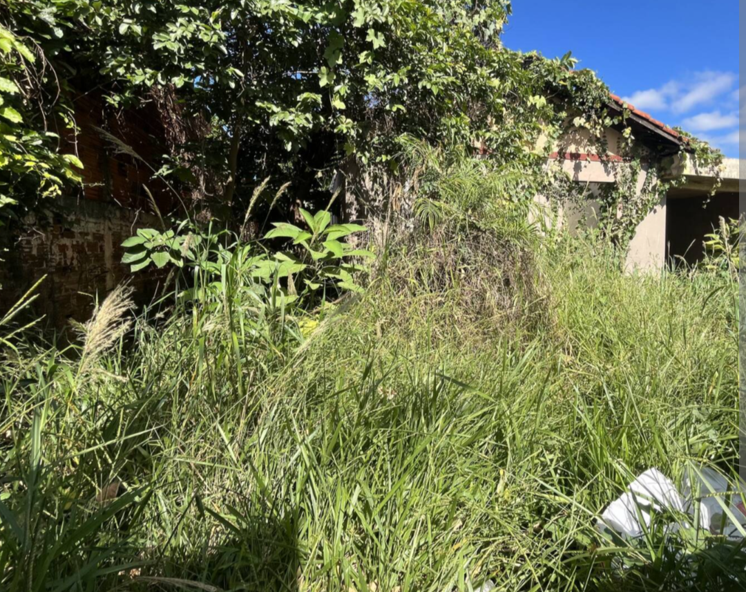 A tranquilidade característica do interior de Brasília de Minas tem sido ofuscada pela crescente preocupação dos moradores com o visível abandono da inf...