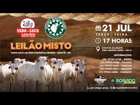 A cidade de Abaeté, em Minas Gerais, prepara-se para sediar um leilão misto conjunto, uma iniciativa das empresas Vado-Caco e Estância Mineira Leilões. ...