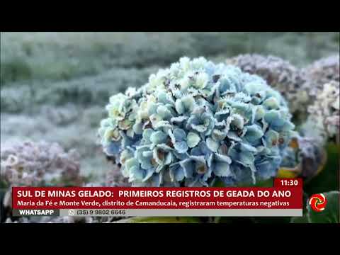 Em um olhar retrospectivo sobre o arquivo do Portal Minas, recordamos um evento que sinalizou o início do período de baixas temperaturas na região sul d...