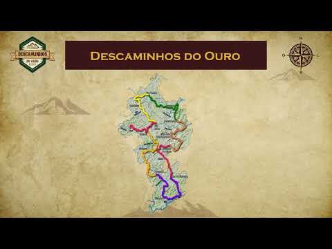 Registrado em 28/10/2024, o boletim informativo do canal Descaminhos do Ouro focou em desdobramentos essenciais relacionados a Zona da Mata. O Portal Mi...