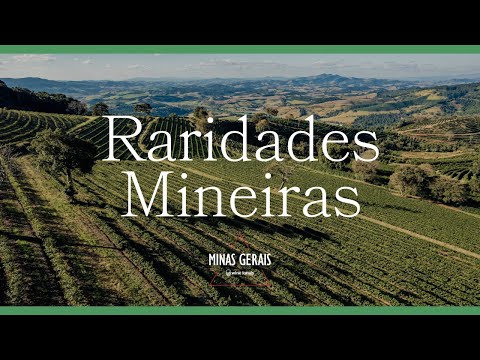 No dia 28/08/2023, pontos de atenção referentes a circuito turistico minas gerais foram abordados de forma detalhada na cobertura do canal Wine Locals. ...