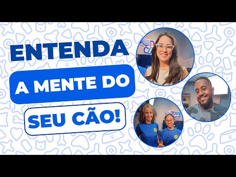 Em atualização divulgada no dia 08/10/2025, o canal PodPetCast destacou fatos marcantes ligados a Adestramento e Comportamento de Cães que impactam o di...