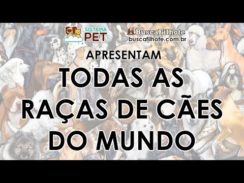 A pauta temática sobre Raças de Cães ganhou relevância regional após a divulgação de novos dados pelo canal SistemaPET em 20/02/2021. O Portal Minas tra...