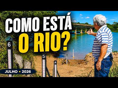 Em matéria veiculada em 30/07/2026, o canal Barranqueiro Aparício Mansur apresentou dados e relatos recentes que ganharam repercussão na cidade de Pirap...
